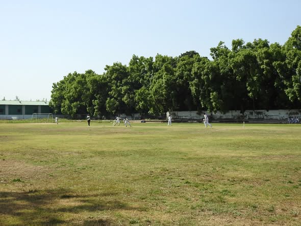 Inter House Competition